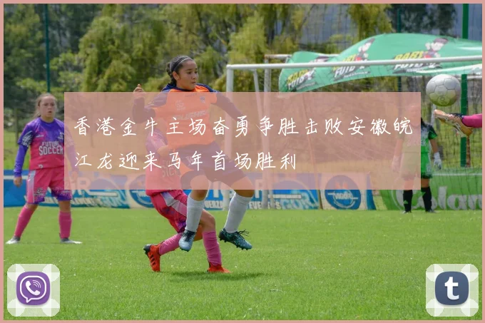 香港金牛主场奋勇争胜击败安徽皖江龙迎来马年首场胜利