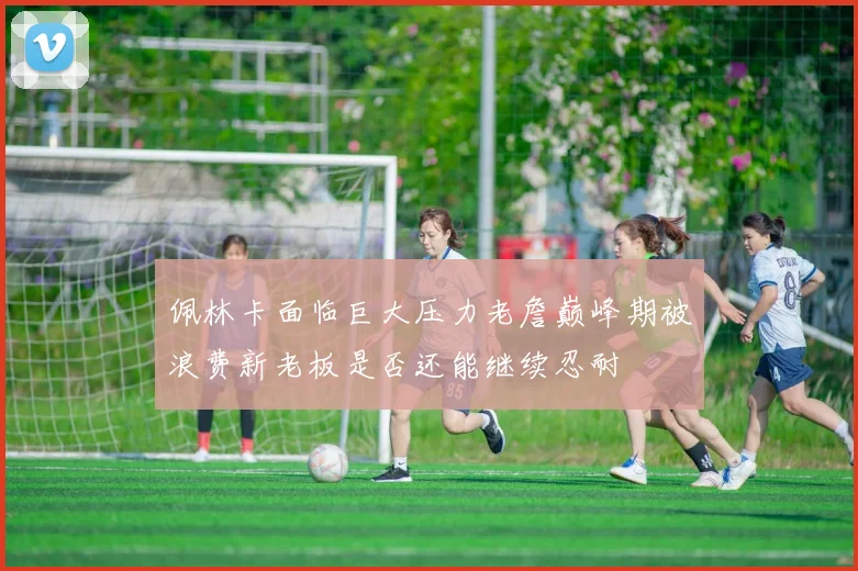 佩林卡面临巨大压力老詹巅峰期被浪费新老板是否还能继续忍耐