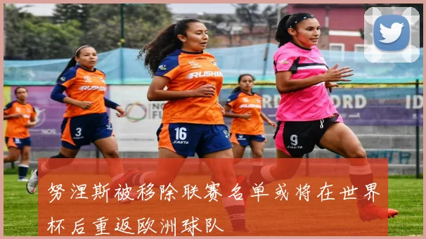 努涅斯被移除联赛名单或将在世界杯后重返欧洲球队