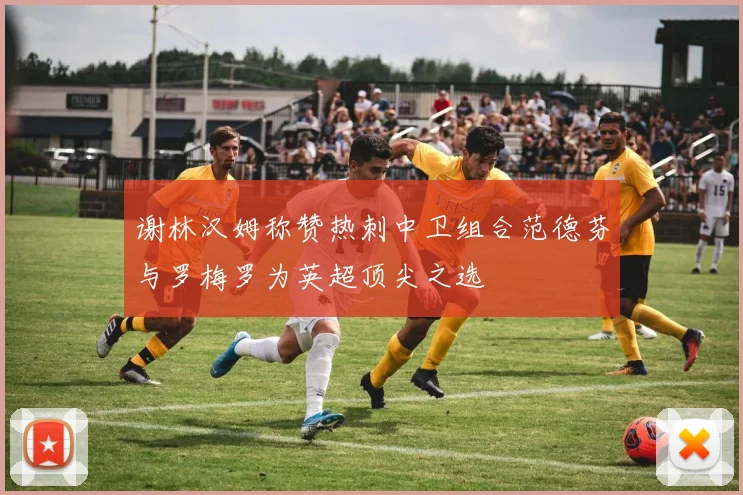 谢林汉姆称赞热刺中卫组合范德芬与罗梅罗为英超顶尖之选